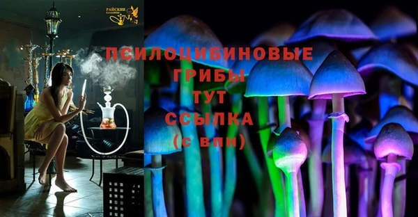 меф Мегион